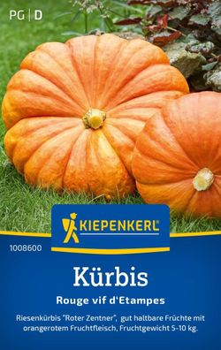 Kürbis Rouge vif d'Etampes "Roter Zentner", Riesenkürbis - haltbare Früchte