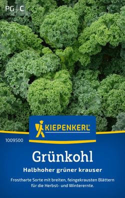 Grünkohl Halbhoher grüner krauser, frosthart - breit, fein gekraust - für