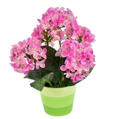 Hortensie rosa 5 Blumen im Keramiktopf 33x27 cm