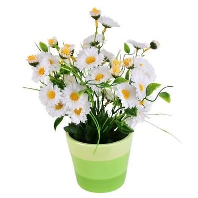 Gänseblümchen weiß 34 Blumen im Keramiktopf 30x25 cm