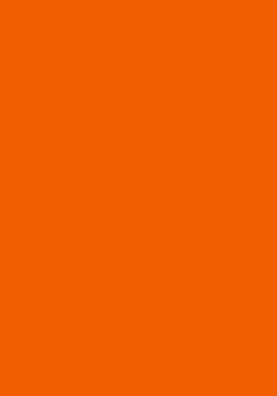 50 Blatt farbiges Druckerpapier 160g/m&sup2; / buntes Kopierpapier / Farbe: orange