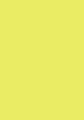 50 Blatt farbiges Druckerpapier 160g/m&sup2; / buntes Kopierpapier Farbe zitronengelb