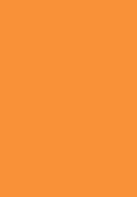 100 Blatt farbiges Druckerpapier / buntes Kopierpapier / Farbe: neonorange
