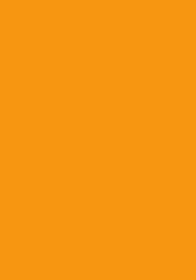 100 Blatt farbiges Druckerpapier / buntes Kopierpapier / Farbe: altgold