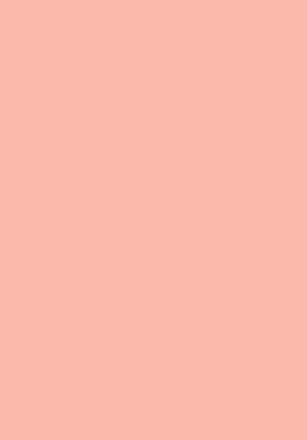 100 Blatt farbiges Druckerpapier / buntes Kopierpapier / Farbe: lachs