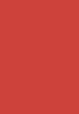 50 Blatt farbiges Druckerpapier 160g/m&sup2; / buntes Kopierpapier / Farbe: rot