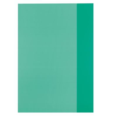 10 Herlitz Heftumschläge / Hefthüllen DIN A4 / Farbe: transparent grün