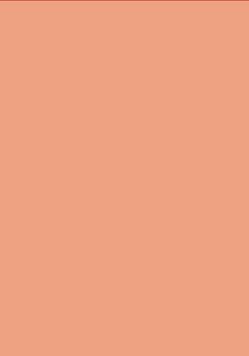 40 Blatt Bastelpapier / Tonzeichenkarton / Fotokarton / 190g/m&sup2; / rosa