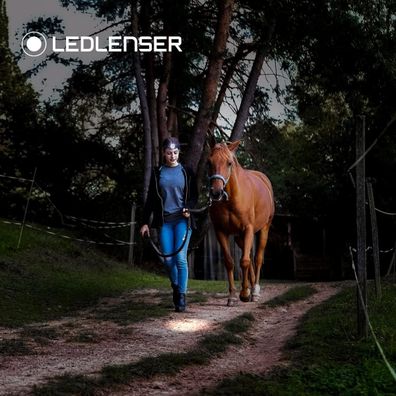 Ledlenser H8R LED Kopf-Stirnlampe 600 Lumen 120h Akku Récklicht USB IPX 4