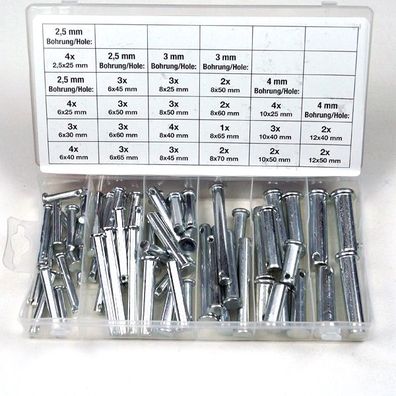 Splintbolzen Set, Sicherungsbolzen Sortiment, Steckbolzen Splinte Bolzen 60 tlg