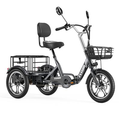 Elektro Dreirad Cargo E-bike mit Korb vorne und hinten Lasten-Elektrofahrrad 48V 22Ah