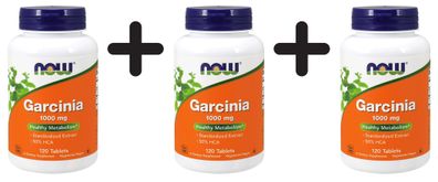 3 x NOW Foods Garcinia, 1000mg - 120 tablets