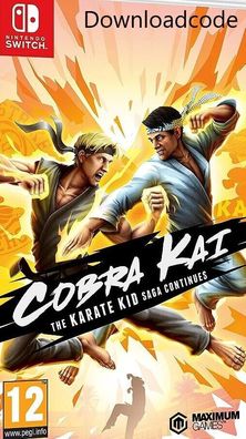 NEU für Nintendo Switch Spiel Cobra Kai The Karate Kid Saga Game Key Email 24H