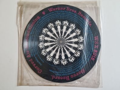 Curved Air - Airconditioning Vinyl LP Picture DISC