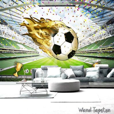 Vlies Fototapete Wandtapete Wandbilder Wanddekoration mit Fußballfeld 1900