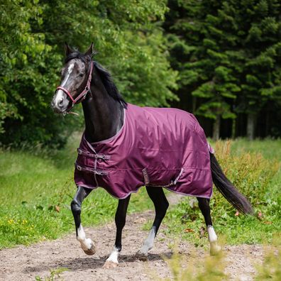 Horse Guard Turnout Pferdedecke Landon, 120D, 0 g - pflaume