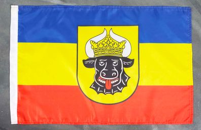 Fahne Flagge Mecklenburg Ochsenkopf - Stockfahne - 30 x 45 cm