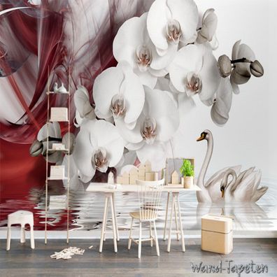 Vlies Fototapete Wandtapete Wandbilder Schöner Schwan Phalaenopsis 3018