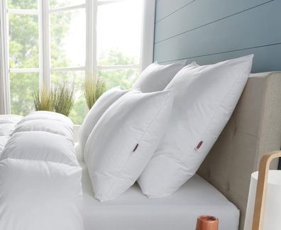 Dodo Kopfkissen Cloud de Douceur 60/60 Kissen weiß Perkal, Premium-qualität NEU