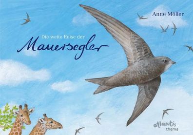 Die weite Reise der Mauersegler | Anne Möller | Buch | Atlantis Thema Bücher