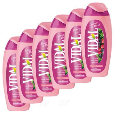 VIDAL Duschgel Mure & Musk / Brombeere & Moschus 6x 250ml