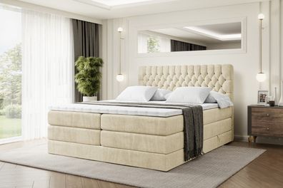 Boxspringbett mit Matratze, Topper, Polsterbett mit Bettkasten SERENE KING