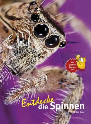 Entdecke die Spinnen | Kriton Kunz | Buch | Entdecke - Die Reihe mit der Eule