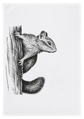 17;30 Geschirrtuch Eichhörnchen, weiß, HW171A 1 St