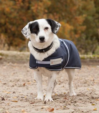 Comfort Hundedecke, 200 g