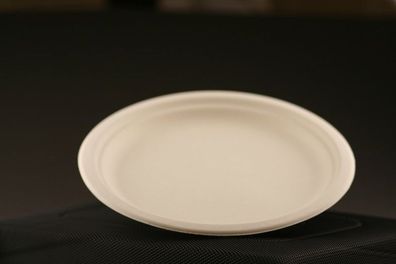 Bio Geschirr 22 cm Teller P-02/50 Einweggeschirr Teller VE 50 Stück