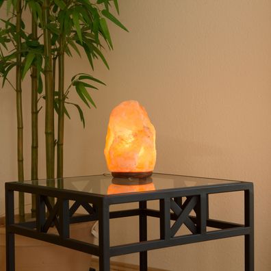 Salz Kristall Stein Lampe Salzlampe Leuchte ca. 9 -12 kg in 1A Qualität