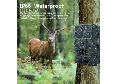 Zyjdgnny 4K WiFi Wildkamera 60MP Nachtsicht