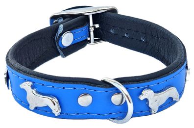 DACKEL Hundehalsband, LEDER, Halsumfang 23-27cm, (22mm breit) BLAU/Schwarz NEU