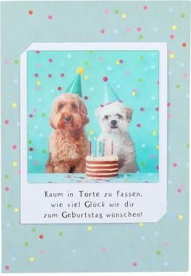 3D Polaroid Klappkarte - Kaum in Torte zu fassen
