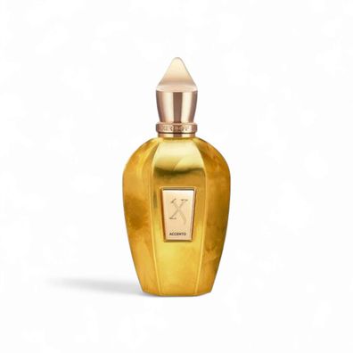 Xerjoff V Overdose Accento Eau de Parfum 100ml