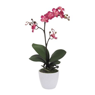 Künstliche Phalaenopsis Orchidee 50 cm Cerise ideal für Deko
