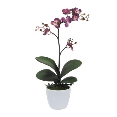 Künstlicher Phalaenopsis Cassandra 50 cm Lila - Deko für Wohnräume