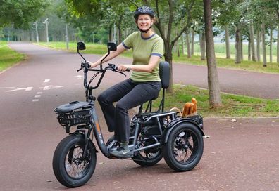 Folding Elektrisches Dreirad Breeze, 1000W Speed 20 MPH Range 30-80Miles Pedelec