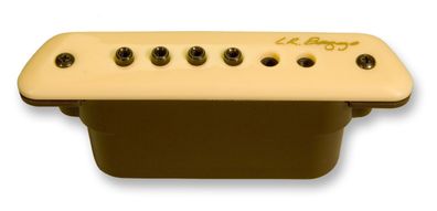 LR Baggs M1