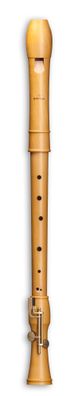Mollenhauer 2496 Canta Tenor