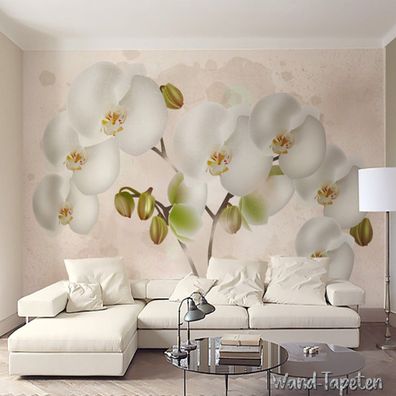 Vlies Fototapete Wandtapete Wandbilder Aquarellhintergrund Phalaenopsis 3128