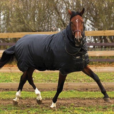 Horseware Trot Rug Plus Heavy Turnout Decke 350g Weidedecke black/black & tan