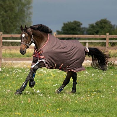 Horseware Amigo Bravo12T/OLite DiscFrn Turnout Decke wasserdicht Braun/Rot, old&Rot