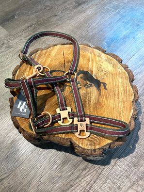 HorseGuard Halfter gestreift dark port