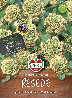 Sperli Reseden Reseda odorata Gartenduft, Bienenfreundlich