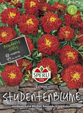 Sperli Tagetes Studentenblume Carmen, leuchtende Blütenpracht