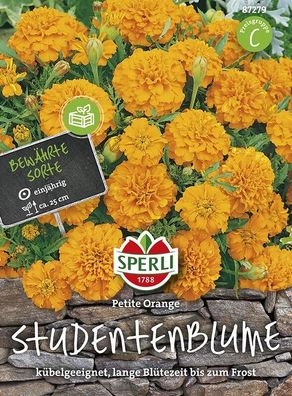 Sperli Tagetes Studentenblume Petite Orange, leuchtend orange Blüten