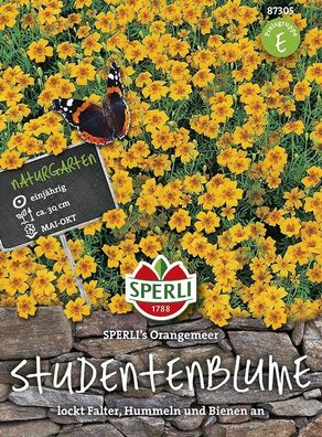 Sperli Tagetes Studentenblume Orangemeer, dicht wachsender Blütenteppich