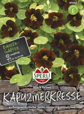 Sperli Kapuzinerkresse Black Velvet, Sorte mit fast schwarzen Blütenblättern,