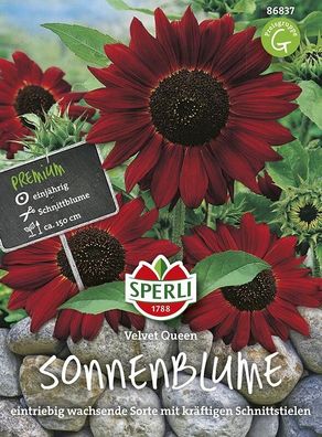 Sperli Sonnenblume Velvet Queen, anziehend für Bienen & Schmetterlinge